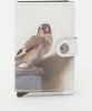 Secrid Mini Wallet Art Portemonnee Mauritshuis Goldfinch online kopen